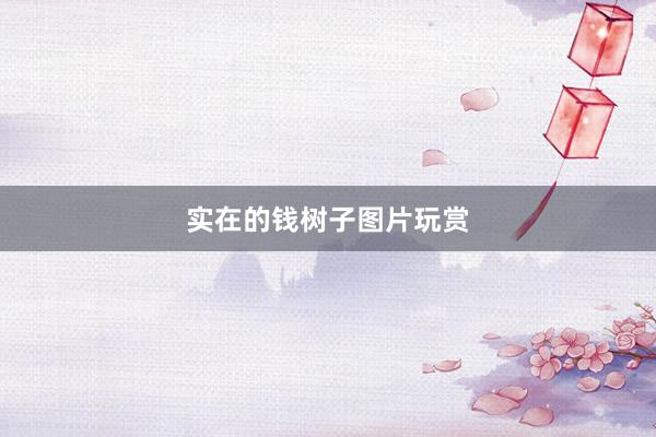 实在的钱树子图片玩赏