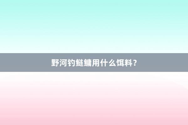 野河钓鲢鳙用什么饵料？